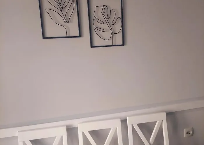 Tadeus Apartament Sokobanja